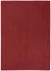 Brick Red Stain Resistant Indoor Outdoor Area Rug - 4' X 6'