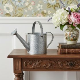 Gray Galvanized Metal Decorative Watering Can - 7"