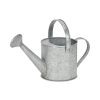 Gray Galvanized Metal Decorative Watering Can - 7"
