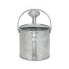 Gray Galvanized Metal Decorative Watering Can - 7"