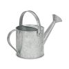Gray Galvanized Metal Decorative Watering Can - 7"