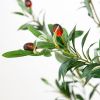 Green Olive Artificial Tree in a Black Pot - 84"