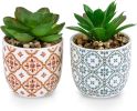 Artificial Plants Succulent Flowers in Ceramic Planter,