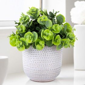 Artificial Succulent Plants in Ceramic Planter