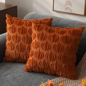 Soft Plush Fall Autumn Rust Pumpkin Pillow Covers, 18x18 inch, Set of 2
