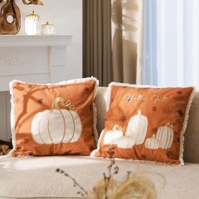 Fall Pumpkin Throw Pillow Covers with Tassel, 18x18, Set of 2,