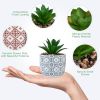 Artificial Plants Succulent Flowers in Ceramic Planter,