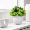 Artificial Succulent Plants in Ceramic Planter