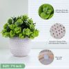 Artificial Succulent Plants in Ceramic Planter
