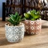 Artificial Plants Succulent Flowers in Ceramic Planter,