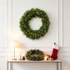 Norfolk Pine Artificial Lighted Christmas Wreath, 36 Inch