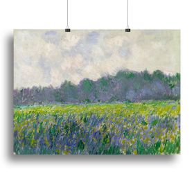 Field of Yellow Irises by Monet Canvas Print or Poster (Type: Standard Framed Canvas Print, size: 32" x 24" / 80cm x 60cm (approx))